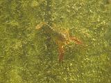 2009-08-01 16-36-55S